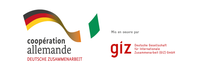 GIZ